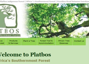Platbos Africa's Southernmost Forest